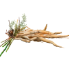 Shatavari Liquid Extract, Shatavari (Asparagus Racemosus) Root Tincture