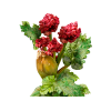 Turkey Rhubarb Alcohol-FREE Liquid Extract, Organic Turkey Rhubarb (Rheum Palmatum) Dried Root Glycerite