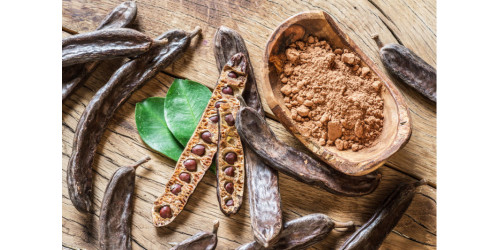 BEST THINGS CAROB TREE CAN GIVE YOU