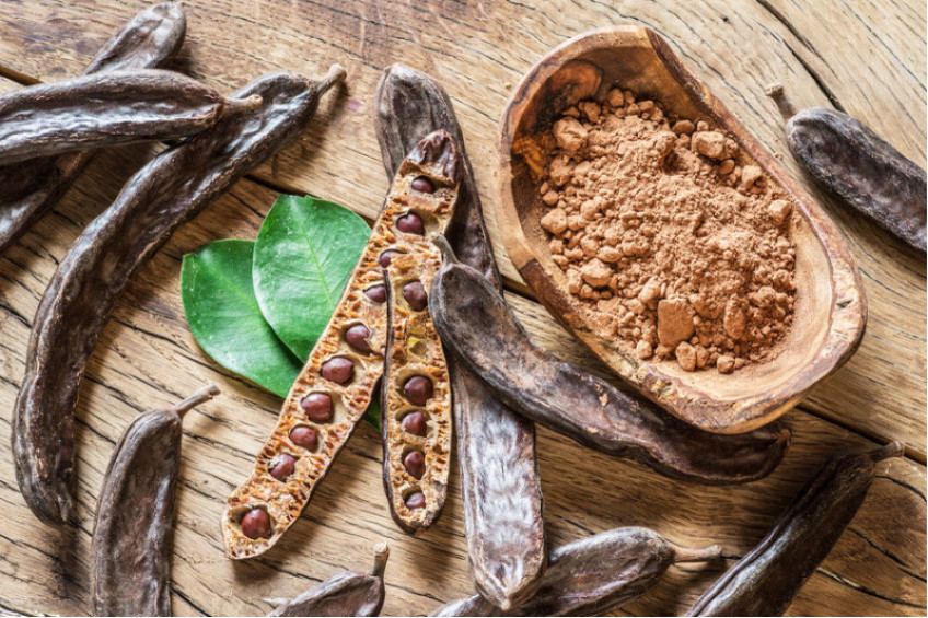 BEST THINGS CAROB TREE CAN GIVE YOU