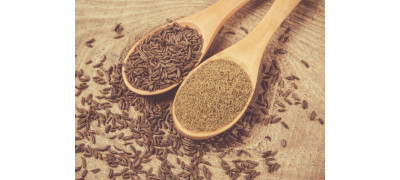 SPICY AND BENEFICIAL CUMIN