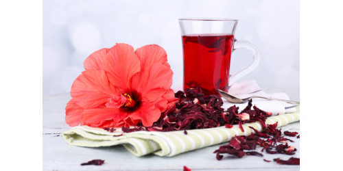 WHAT DO YOU KNOW ABOUT HIBISCUS?