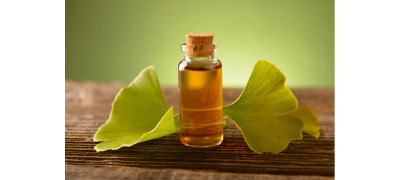 ALL YOU NEED TO KNOW ABOUT GINKGO BILOBA 