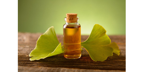 ALL YOU NEED TO KNOW ABOUT GINKGO BILOBA 