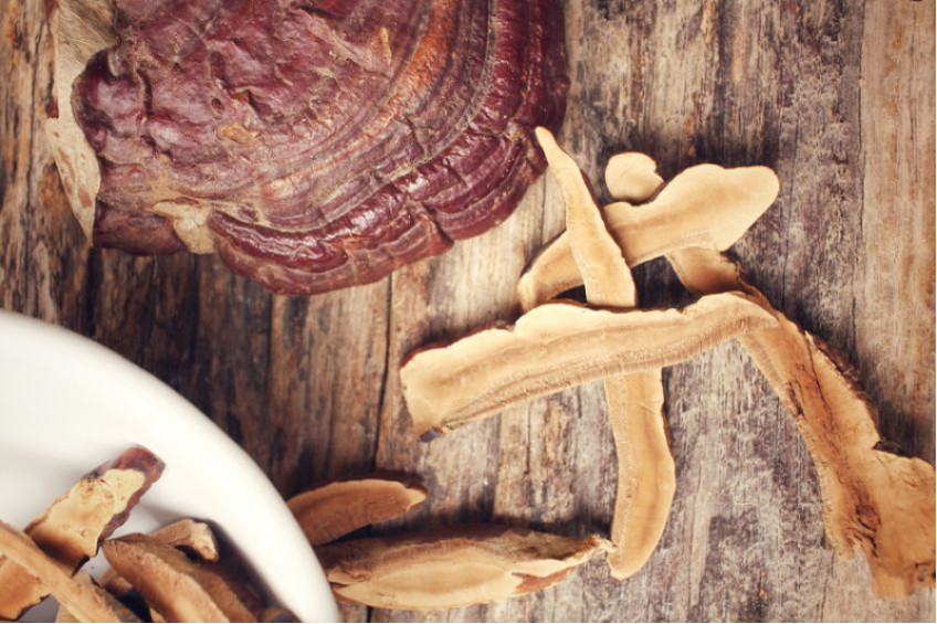 EVERYTHING YOU NEED TO KNOW ABOUT REISHI 