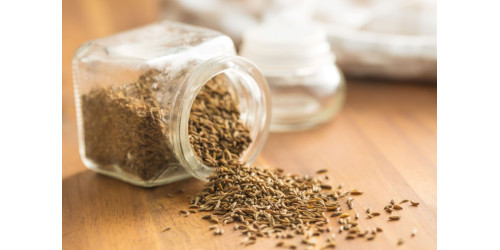 DO YOU KNOW ANYTHING ABOUT CARAWAY SEEDS?