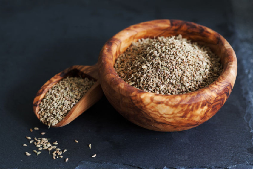 AJWAIN - AN EXOTIC HERB RIGHT FROM INDIA.
