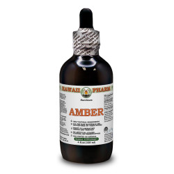 Amber, Hu Po (Succinum) Tincture, Dried Amber Resin ALCOHOL-FREE Liquid Extract, Amber, Glycerite Herbal Supplement