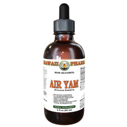 Air Yam (Dioscorea Bulbifera) Tincture, Dried Tuber ALCOHOL-FREE Liquid Extract