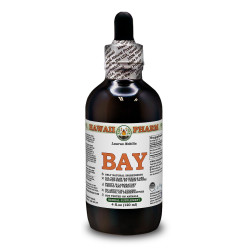 Bay Alcohol-FREE Liquid Extract, Bay (Laurus Nobilis) Dried Leaf Glycerite