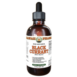 Black Currant (Ribes Nigrum) Tincture, Certified Organic Dried Leaf ALCOHOL-FREE Liquid Extract