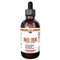 Bo He (Mentha Haplocalyx) Tincture, Wildcrafted Dried Herb Liquid Extract