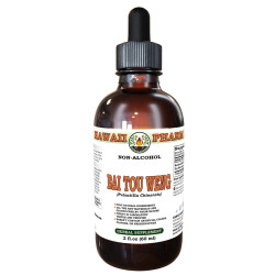 Bai Tou Weng (Pulsatilla Chinensis) Tincture, Dried Root ALCOHOL-FREE Liquid Extract