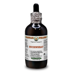 Buckwheat Alcohol-FREE Liquid Extract, Buckwheat (Polygonum Fagopyrum) Dried Hulls Glycerite
