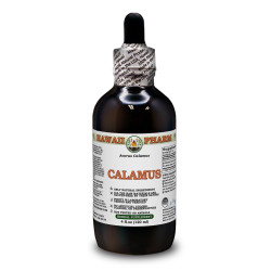 Calamus Alcohol-FREE Liquid Extract, Organic Calamus (Acorus Calamus) Dried Root Glycerite