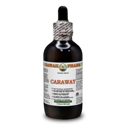 Caraway Alcohol-FREE Liquid Extract, Organic Caraway (Carum carvi) Dried Fruit Glycerite