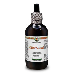 Chaparral Alcohol-FREE Liquid Extract, Chaparral (Larrea tridentata) Dried Aerial Parts Glycerite