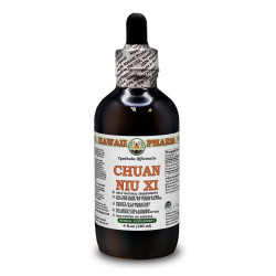 Chuan Niu Xi Alcohol-FREE Liquid Extract, Chuan Niu Xi, Cyathula (Cyathula Officinalis) Root Glycerite