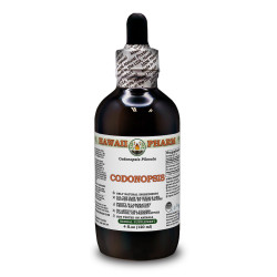 Codonopsis Alcohol-FREE Liquid Extract, Organic Codonopsis (Codonopsis Pilosula) Dried Root Glycerite