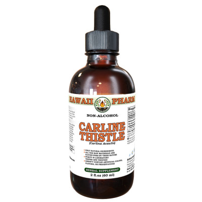 Carline Thistle (Carlina Acaulis) Tincture, Dried Root ALCOHOL-FREE Liquid Extract