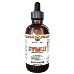 Egyptian Lily (Nymphaea Caerulea) Tincture, Wildcrafted Dried Flower ALCOHOL-FREE Liquid Extract