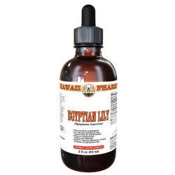 Egyptian Lily (Nymphaea Caerulea) Tincture, Wildcrafted Dried Root Liquid Extract