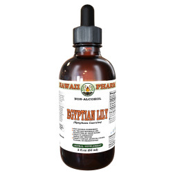 Egyptian Lily (Nymphaea Caerulea) Tincture, Wildcrafted Dried Root ALCOHOL-FREE Liquid Extract
