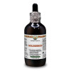 Goldenrod Alcohol-FREE Liquid Extract, Organic Goldenrod (Solidago virgaurea L.) Dried Herb Glycerite