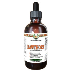 Hawthorn (Crataegus Laevigata) Tincture, Certified Organic Dried Berry ALCOHOL-FREE Liquid Extract