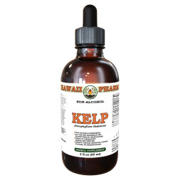 Kelp (Ascophyllum Nodosum) Tincture, Certified Organic Dried Whole Plant ALCOHOL-FREE Liquid Extract