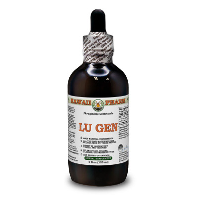 Lu Gen Alcohol-FREE Liquid Extract, Lu Gen, Reed (Phragmites Communis) Root Glycerite