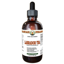 Labrador Tea (Ledum Groenlandicum) Tincture, Dried Leaf ALCOHOL-FREE Liquid Extract