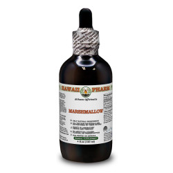 Marshmallow Alcohol-FREE Liquid Extract, Organic Marshmallow (Althaea officinalis) Dried Leaf Glycerite