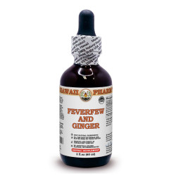 Feverfew And Ginger Liquid Extract, Feverfew herb, Ginger root Tincture Herbal Supplement