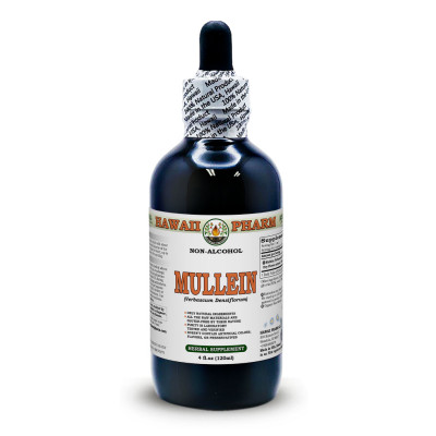 Mullein Alcohol-FREE Liquid Extract, Organic Mullein (Verbascum densiflorum) Dried Flower Glycerite