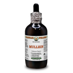 Mullein Alcohol-FREE Liquid Extract, Organic Mullein (Verbascum Thapsus) Dried Leaf Glycerite