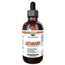 Jatamansi (Nardostachys Jatamansi) Tincture, Dried Rhizome ALCOHOL-FREE Liquid Extract