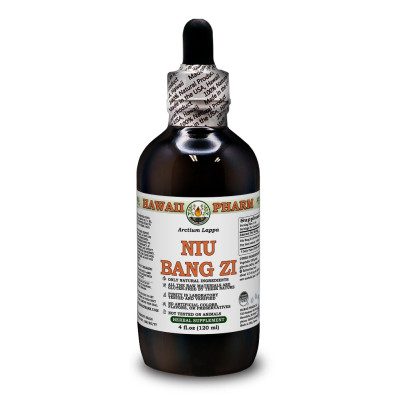 Niu Bang Zi Alcohol-FREE Liquid Extract, Niu Bang Zi, Burdock (Arctium Lappa) Seed Glycerite