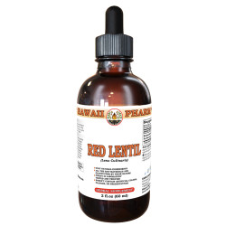 Red Lentil (Lens culinaris) Tincture, Dried Seed Liquid Extract