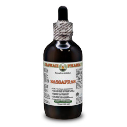 Sassafras Alcohol-FREE Liquid Extract, Sassafras (Sassafras Albidum) Dried Root Bark Glycerite