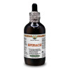 Spinach Alcohol-FREE Liquid Extract, Spinach (Spinacia Oleracea) Leaf Glycerite