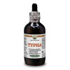 Typha Liquid Extract, Dried pollen (Typha Angustifolia) Alcohol-Free Glycerite