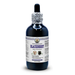 Blackberry (Rubus Armeniacus) Dried Root and Leaf Veterinary Natural Alcohol-FREE Liquid Extract, Pet Herbal Supplement