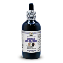 Rosehip And Seaweed, Veterinary Natural Alcohol-FREE Liquid Extract, Pet Herbal Supplement
