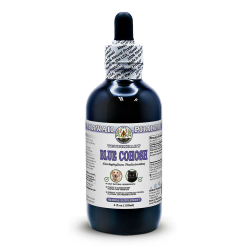 Blue Cohosh (Caulophyllum Thalictroides) Wildcrafted Dried Root Veterinary Natural Alcohol-FREE Liquid Extract, Pet Herbal Supplement