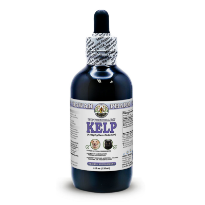 Kelp (Ascophyllum Nodosum) Certified Organic Dried sun dried whole plant Veterinary Natural Alcohol-FREE Liquid Extract, Pet Herbal Supplement