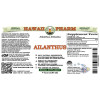 Ailanthus Liquid Extract, Dried bark (Ailanthus Altissima) Alcohol-Free Glycerite