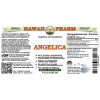Angelica Alcohol-FREE Liquid Extract, Organic Angelica (Angelica archangelica) Dried Root Glycerite