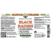 Black Radish Alcohol-FREE Liquid Extract, Black Radish (Raphanus Sativus Niger) Dried Root Glycerite