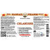 Celandine Liquid Extract, Organic Celandine (Chelidonium Majus) Dried Above-Ground PartsTincture